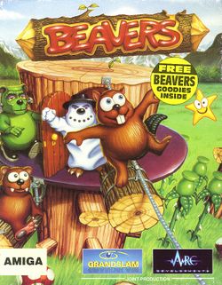 Beavers box scan