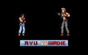 Street Fighter round 06 vs Birdie (amiga).png